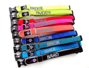 Klasické obojky se jménem