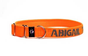 Obojek Martingal se jménem