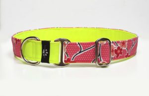 Růžovožlutý obojek