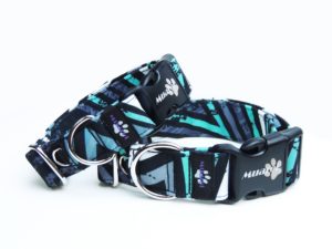 softshell Grafity