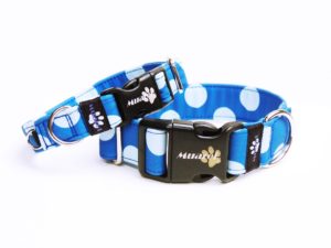softshell Blue dots